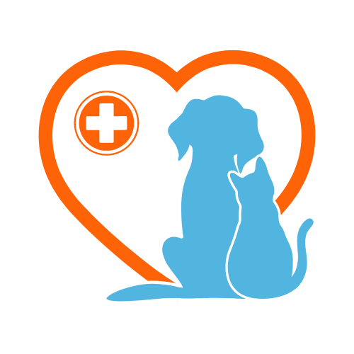 Preventive Care