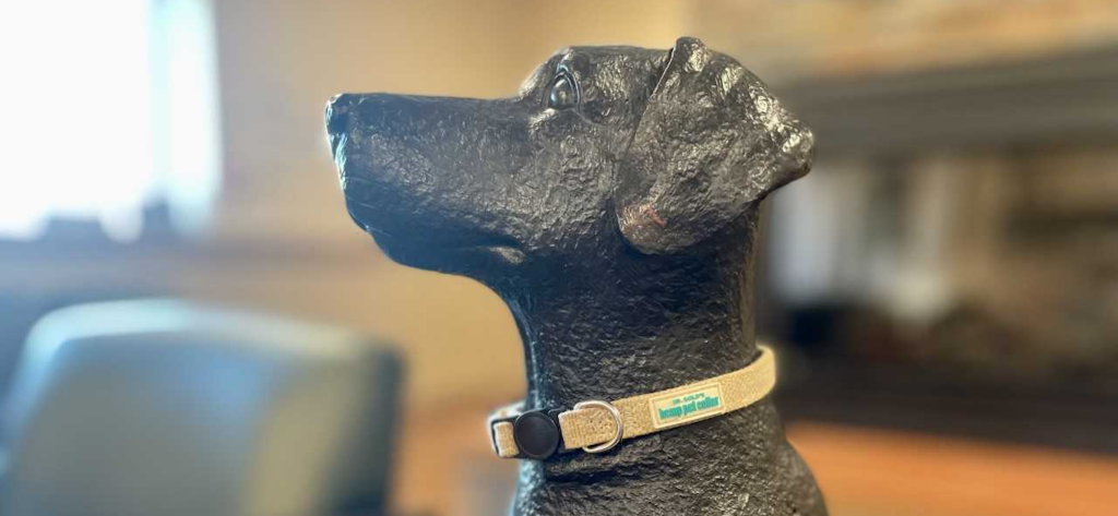 CBD Collars for Dogs & Cats Are Now Available At Hannah Pet Hospitals