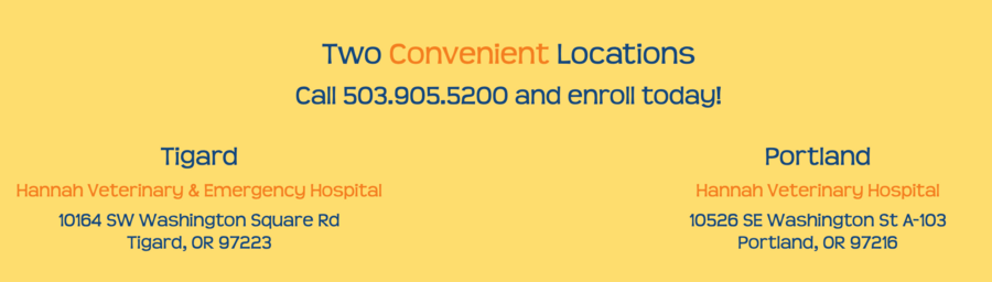 Hannah Pet Hospital phone numbers and addresses for both locations