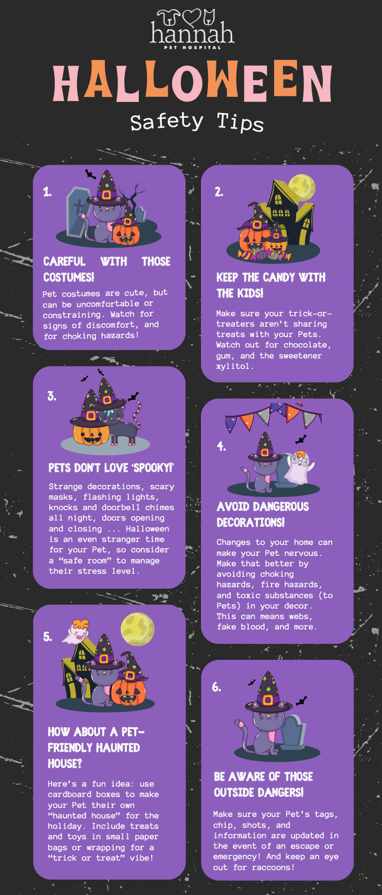tips to help pets have a safe and happy halloween