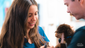 Helping Nervous Pets Feel More Comfortable at the Vet