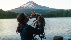 A Day in the Life of a Pet Parent