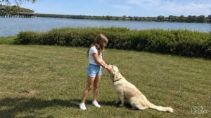 How Pets Support Our Mental and Emotional Wellbeing