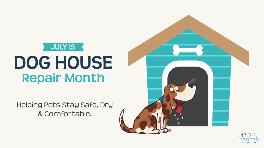 Home Sweet Dog House: If Dogs Could Design Their Dream Outdoor Space