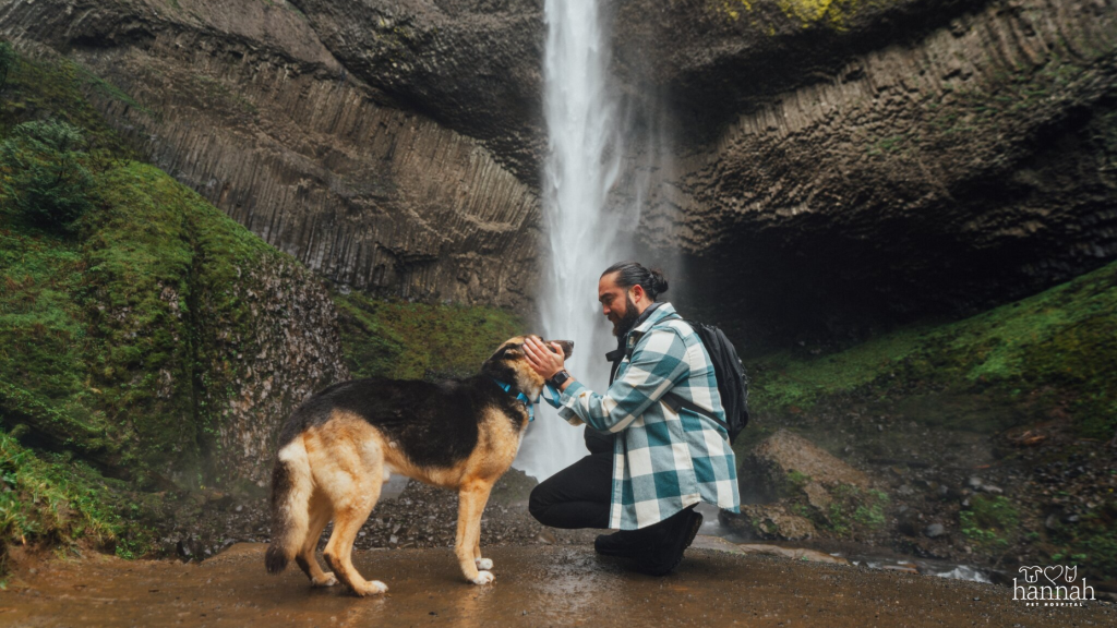 How to Prevent Your Pet from Getting Lost: 5 Simple Safety Tips