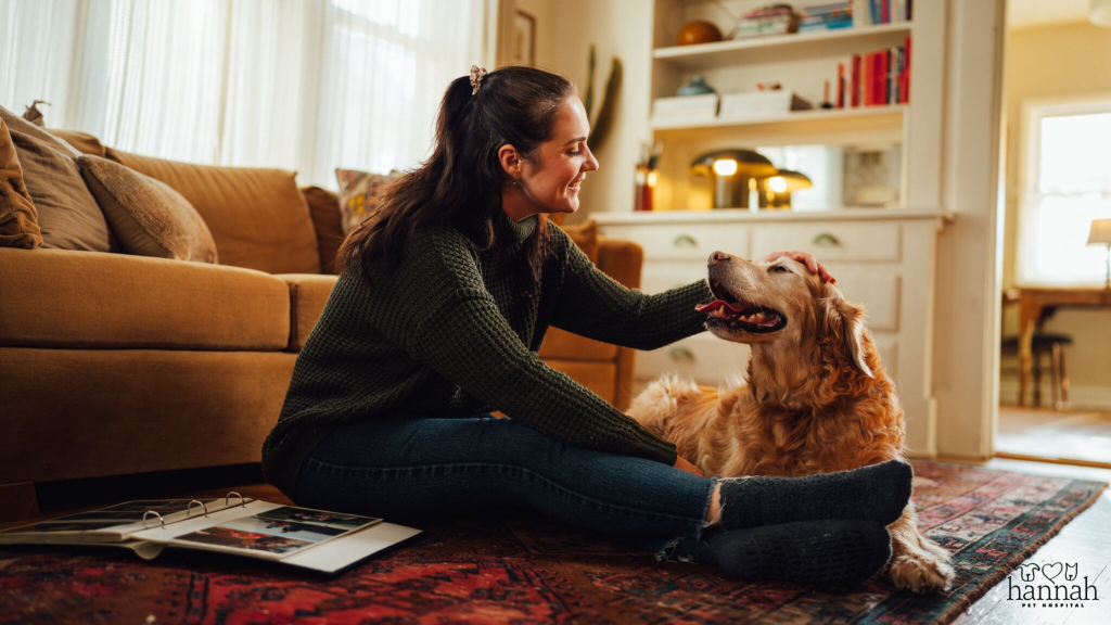 Is Your Pet in Pain? Subtle Signs You Might Not Notice