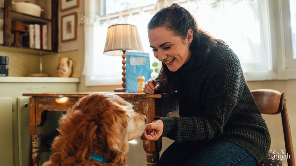 7 Ways Preventive Care Can Help Your Pet Live a Longer, Healthier Life