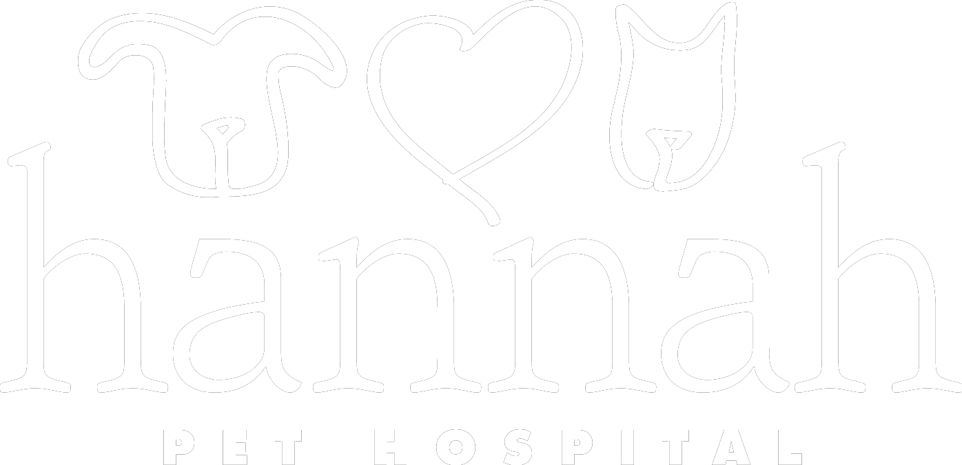 Hannah Pet Hospital