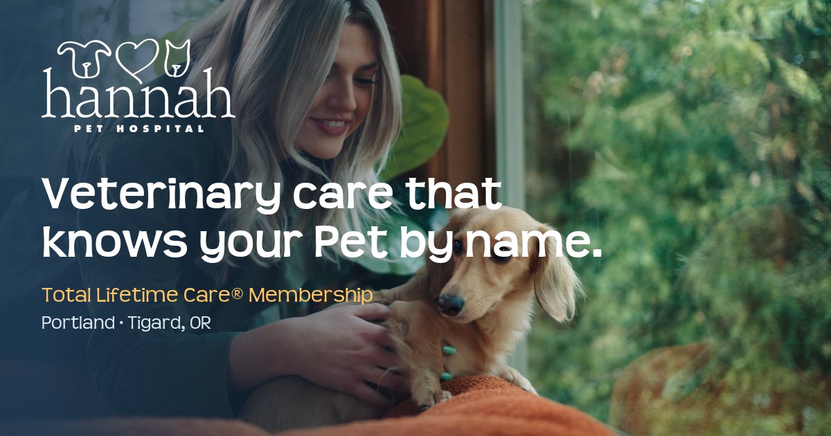 Hannah Pet Hospital and 24/7 Emergency Vet Clinic