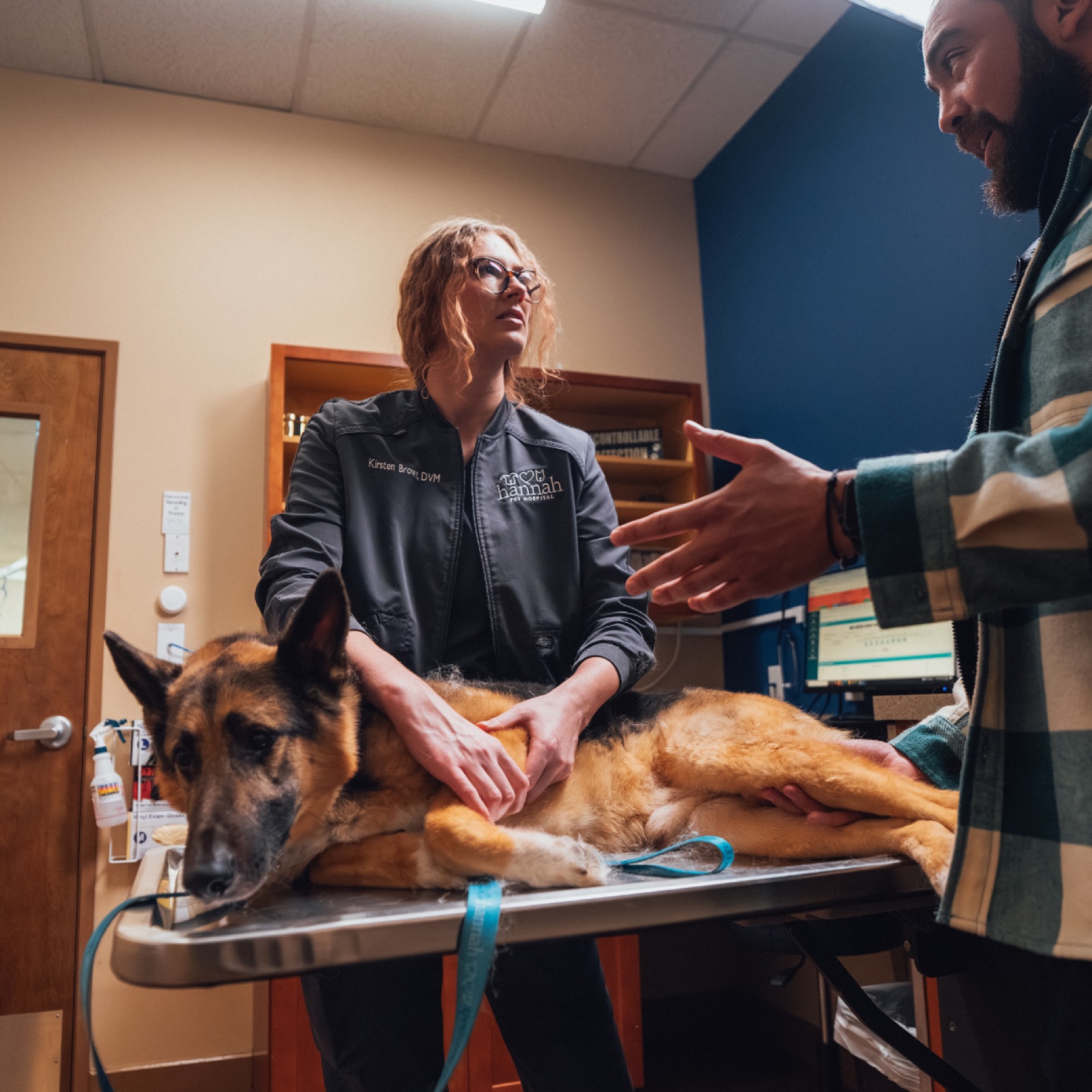 A Hannah veterinarian examining a German Shepherd on the exam table while the pet parent gestures