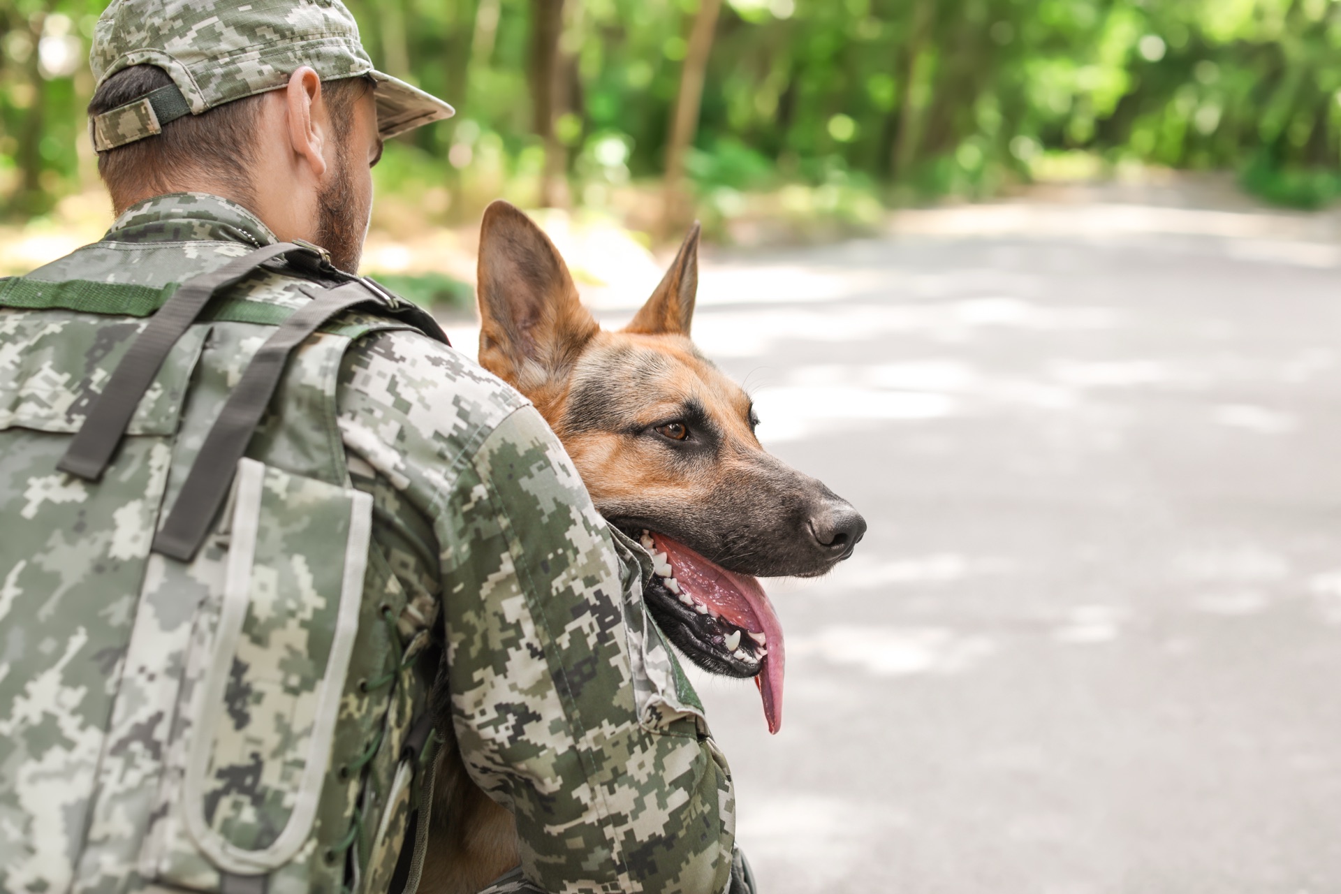 A soldier in camouflage embracing his German Shepherd service dog