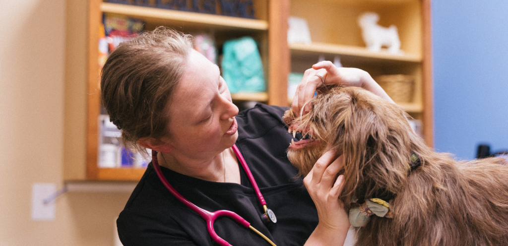 a person with stethoscope around her neck petting a dog