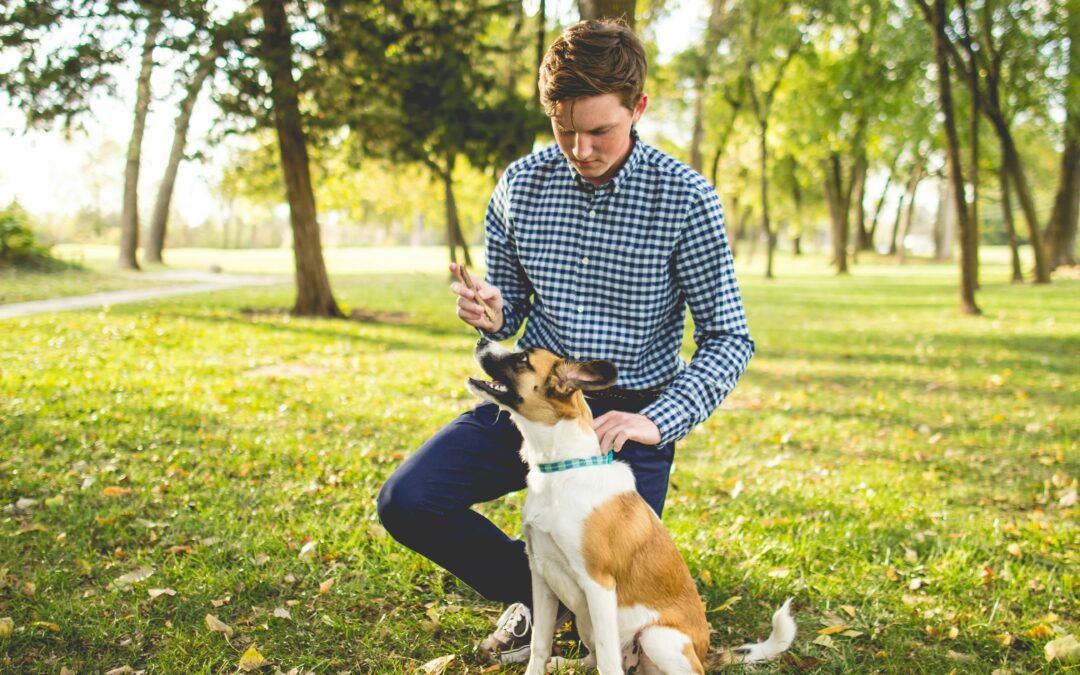 Dog owner training his dog in a park.